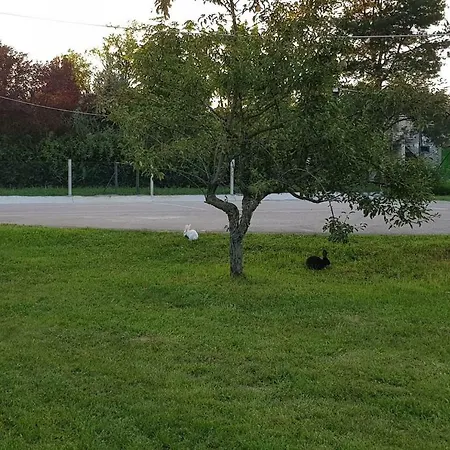 Teo-sport Βίλα *